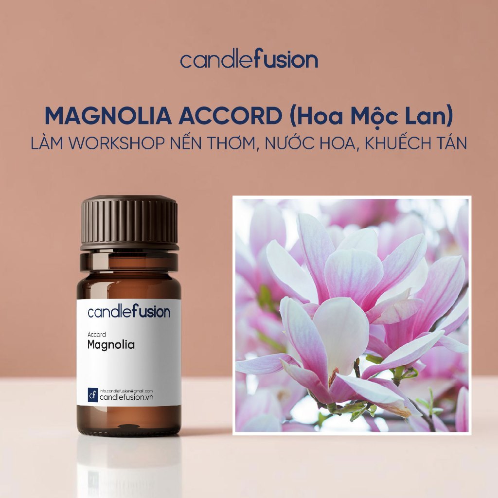 Đơn Hương Magnolia Accord (Hoa Mộc Lan) - Làm Workshop Nến Thơm, Nước Hoa, Khuếch Tán - Chứng Nhận A