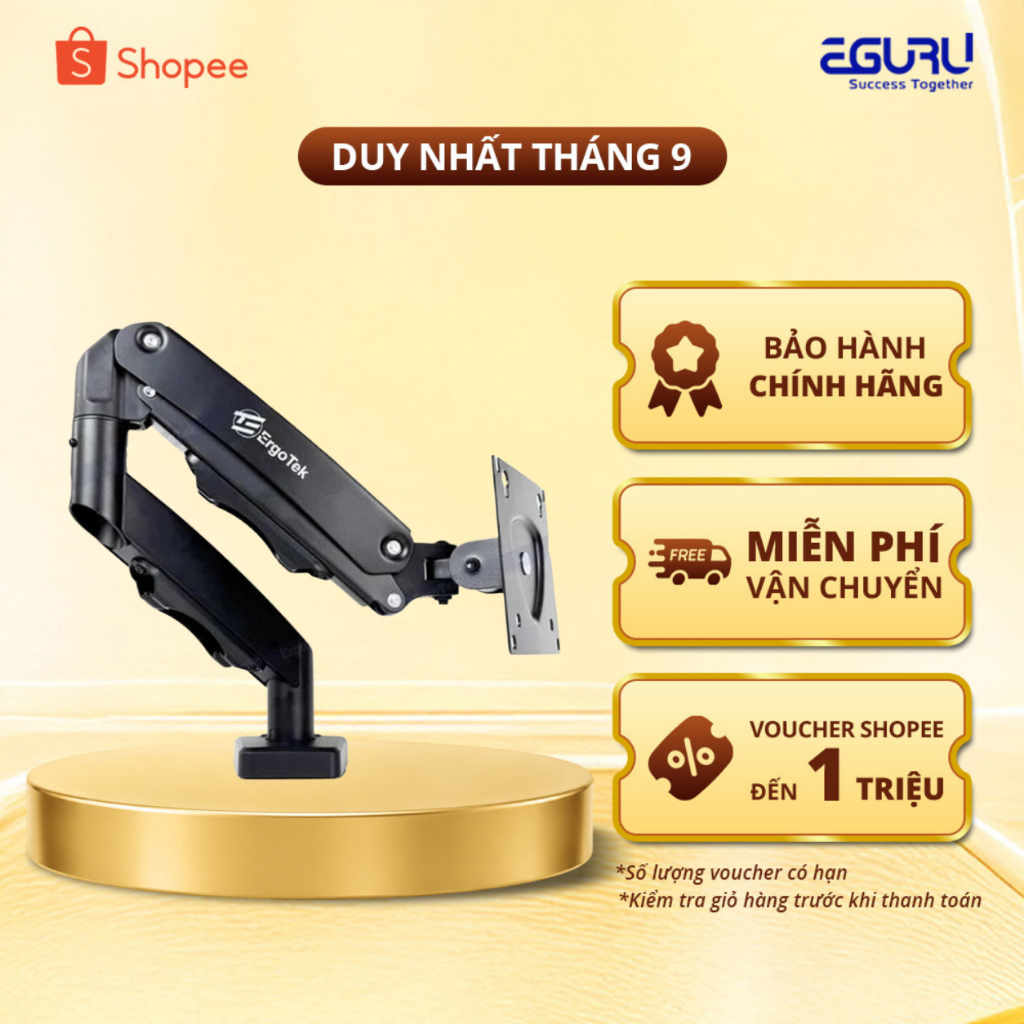 Giá đỡ màn hình Ergotek EZ80 / EZ100 Pro - Tay Treo Màn Hình Công Thái Học Xoay 360° Chuẩn VESA