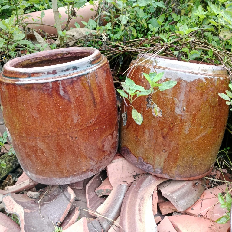 Khạp 10L - Khạp Da Bò Men Xưa –  Lu Gạo | Khạp Trồng Sen | Làm Mắm | Đựng Nước – Lu Miền Tây