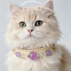 Vòng Cổ Pet Đá Tự Nhiên Thạch Anh Tím – ANORA Gems Studio – Phụ Kiện Cho Chó Mèo