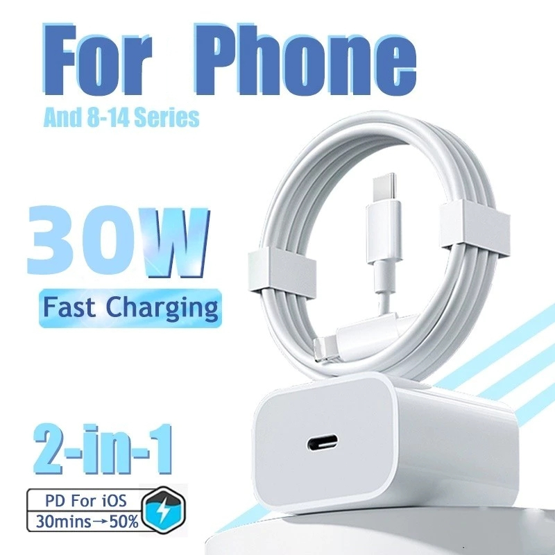 30W Fast Charger USB C PD Fast Charging Adapter Type C to Type C Cable for 17 16 15, Lightning Cable