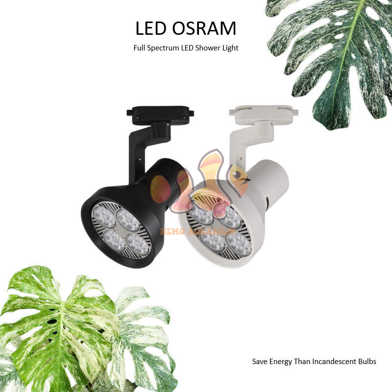 ĐÈN LED RỌI OSRAM BÁN CẠN 35W 45W 50W WRGB RAY - TRỒNG CÂY THỦY SINH TRANG TRÍ TIỂU CẢNH SÂN VƯỜN KI
