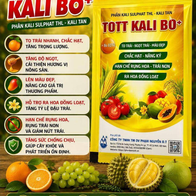 Phân Bón Kali Bo TOTT KALI BO+ Kali Sulphat 50%, To Trái, Ngọt Trái, Chắc Hạt, Hạn Chế Rụng Trái Non