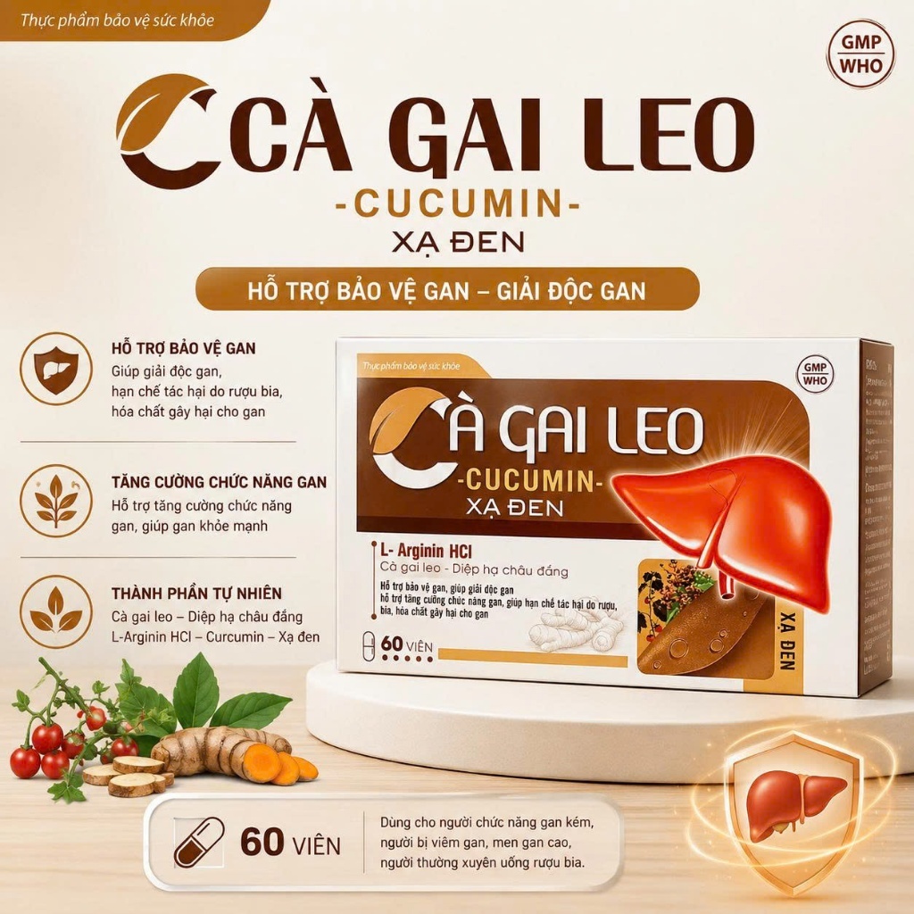 Hỗ trợ tăng cường chức năng gan Cà Gai Leo Cucumin Xạ Đen TH Pharma (H/60v)