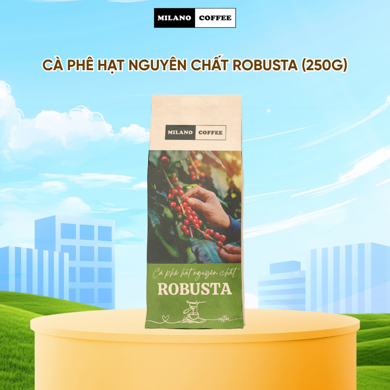 Cà phê hạt nguyên chất Robusta Milano Coffee (250g)