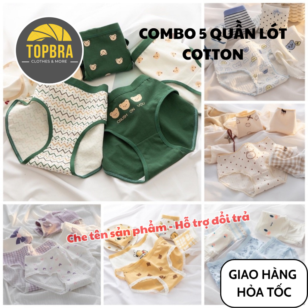 SET 5 Quần Lót Cotton Nữ Kháng Khuẩn Quần Chip Nữ Thoáng Khí Thấm Hút Có Tặng Quà Chính TOPBRA