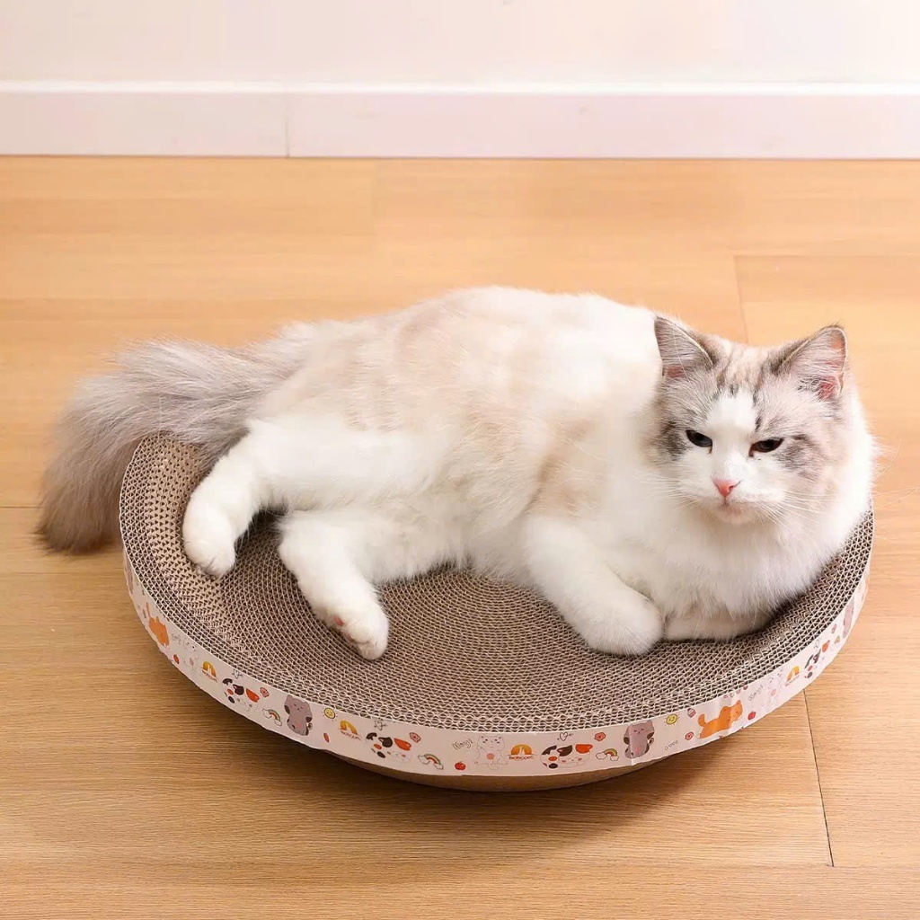[HÀNG SẴN - HỎA TỐC 24H] Bàn cào móng tròn Ruguo cho mèo tặng kèm Catnip cao cấp