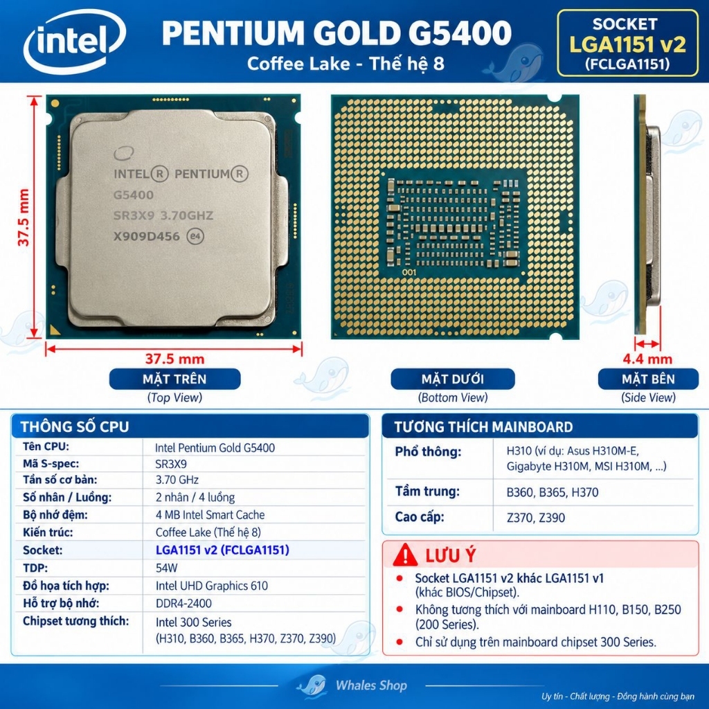 CPU Intel Pentium Gold G5400 3.70GHz – 2 Nhân 4 Luồng – Socket 1151 V2 – Coffee Lake Gen 8