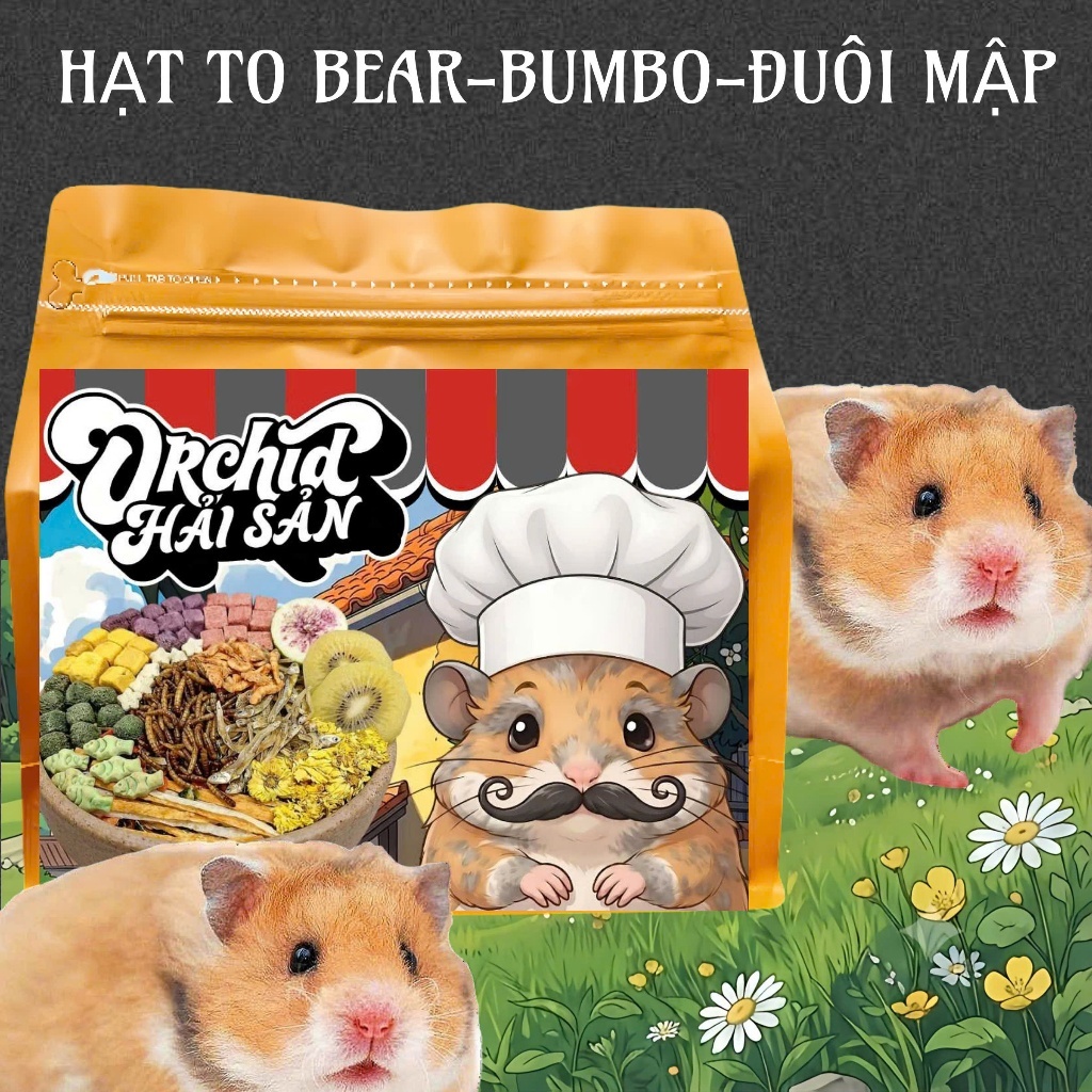 Thức Ăn Hamster ORCHID Hải Sản Cao Cấp Bổ Sung Dinh Dưỡng Toàn Diện Hạt Lớn Bear/Rat/Đuôi Mập