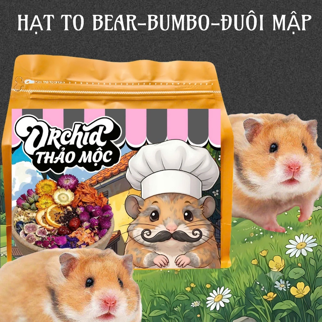 Thức Ăn Hamster ORCHID Thảo Mộc Cao Cấp Bổ Sung Dinh Dưỡng Toàn Diện Hạt Lớn Bear/Rat/Đuôi Mập