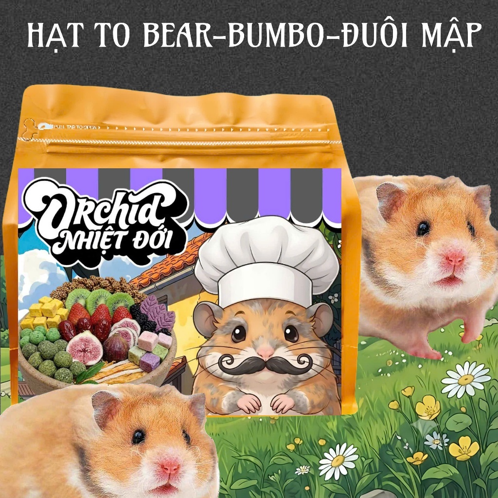 Thức Ăn Hamster ORCHID Nhiệt Đới Cao Cấp Bổ Sung Dinh Dưỡng Toàn Diện Hạt Lớn Bear/Rat/Đuôi Mập