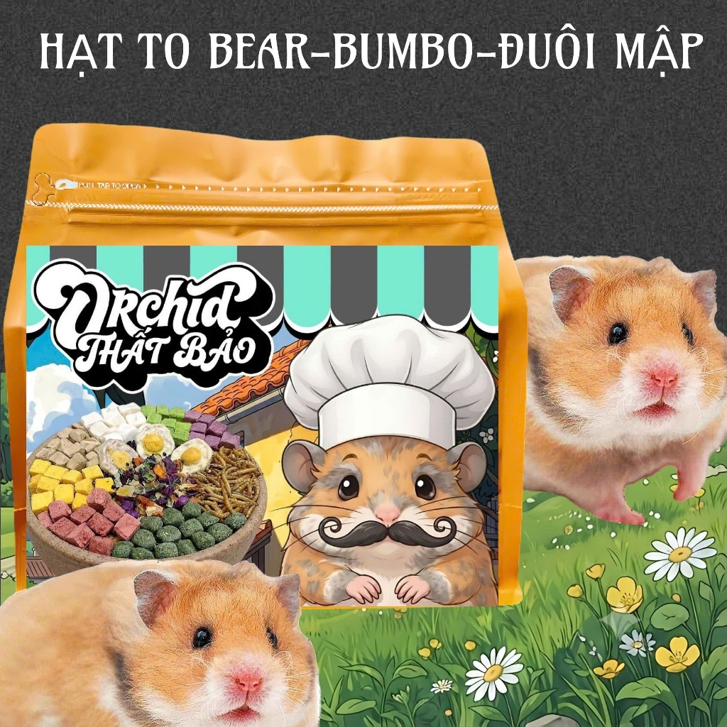 Thức Ăn Hamster ORCHID Thất Bảo Cao Cấp Bổ Sung Dinh Dưỡng Toàn Diện Hạt Lớn Bear/Rat/Đuôi Mập