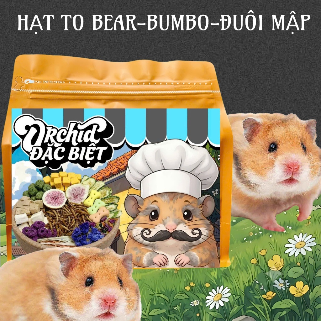 Thức Ăn Hamster ORCHID Đặc Biệt Cao Cấp Bổ Sung Dinh Dưỡng Toàn Diện Hạt Lớn Bear/Rat/Đuôi Mập