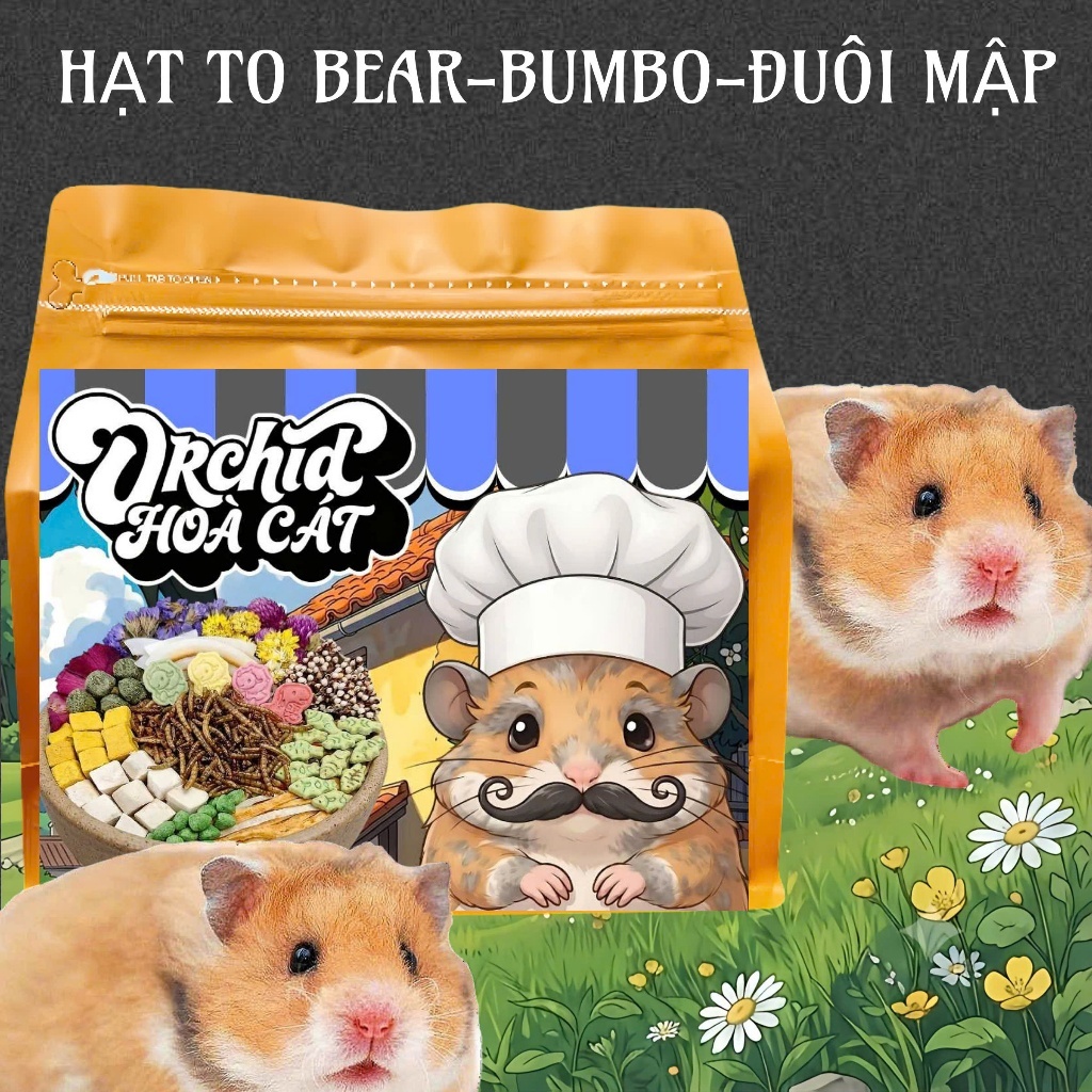 Thức Ăn Hamster ORCHID Hoà Cát Cao Cấp Bổ Sung Dinh Dưỡng Toàn Diện Hạt Lớn Bear/Rat/Đuôi Mập