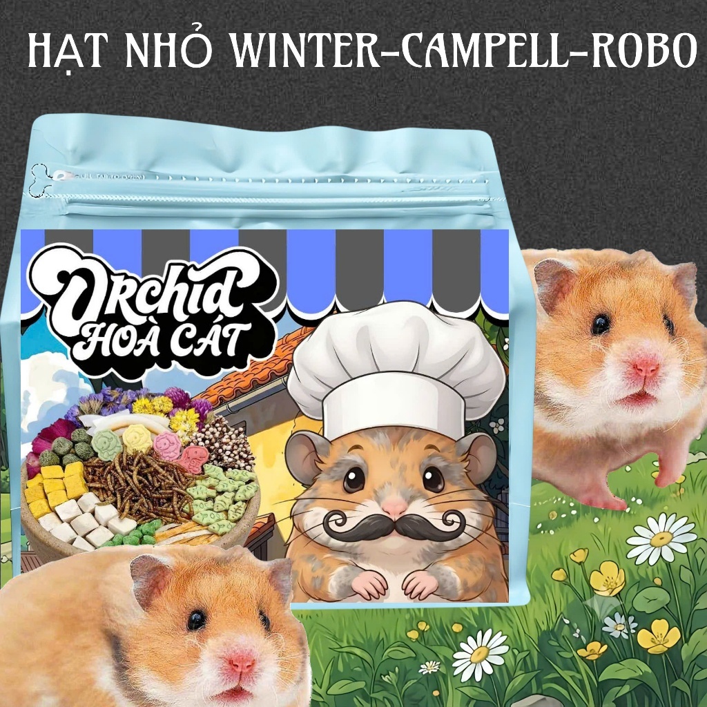 Thức Ăn Hamster ORCHID Cao Cấp Hoà Cát Bổ Sung Dinh Dưỡng Toàn Diện Hạt Nhỏ Campel/Winter/Robo