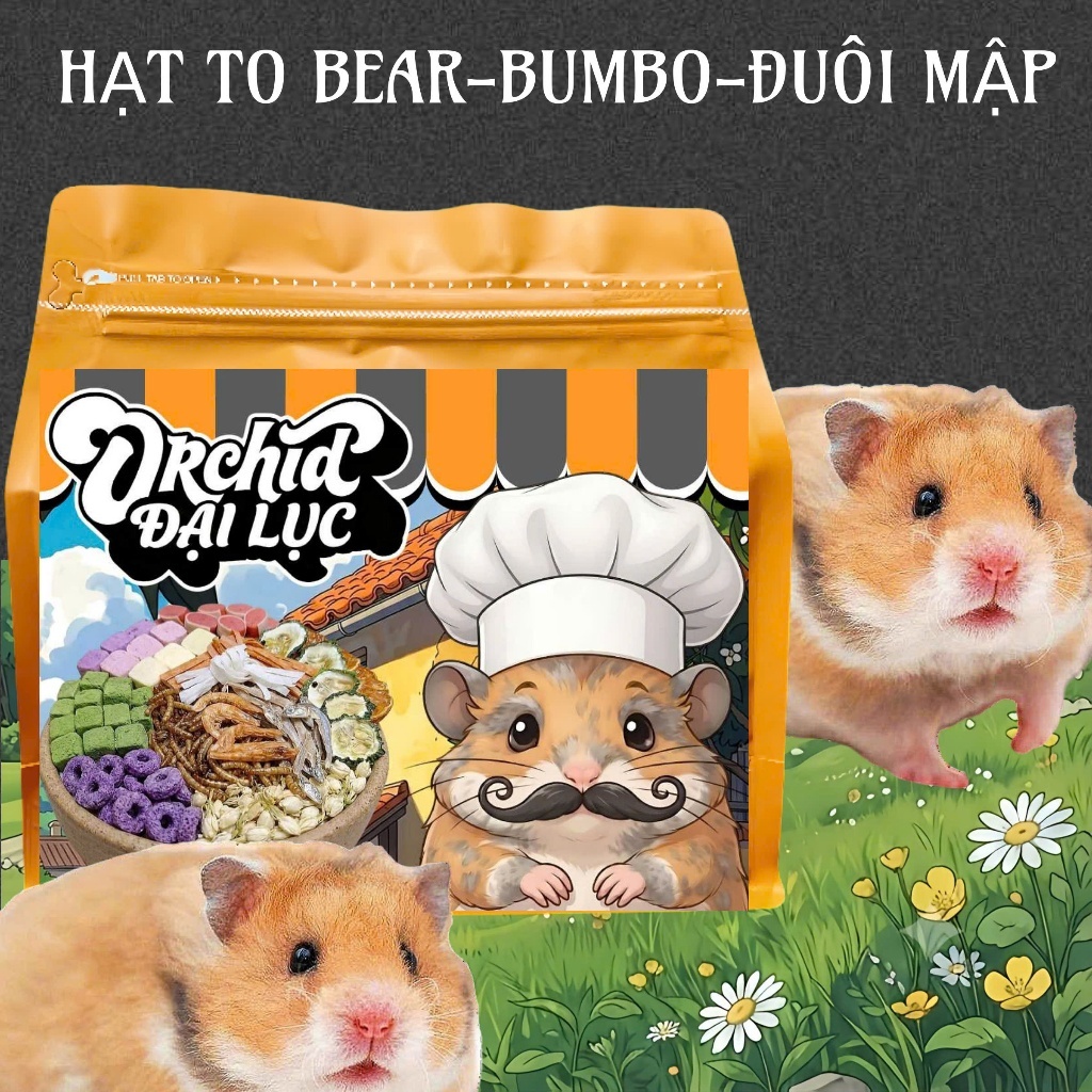 Thức Ăn Hamster ORCHID Đại Lục Cao Cấp Bổ Sung Dinh Dưỡng Toàn Diện Hạt Lớn Bear/Rat/Đuôi Mập