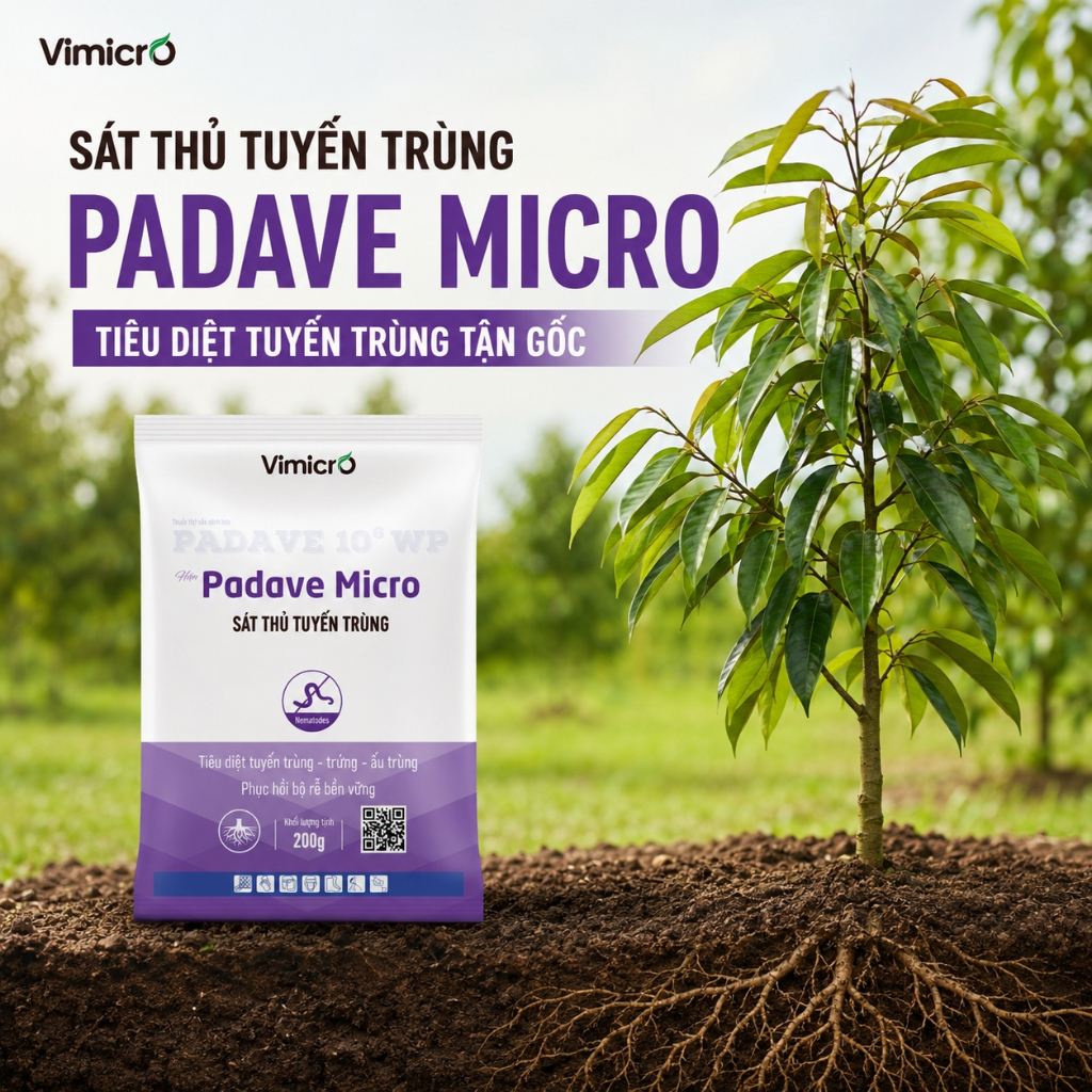 Thuốc trị tuyến trùng rễ Padave Micro 10⁶ WP 200g – Chế phẩm sinh học bảo vệ bộ rễ