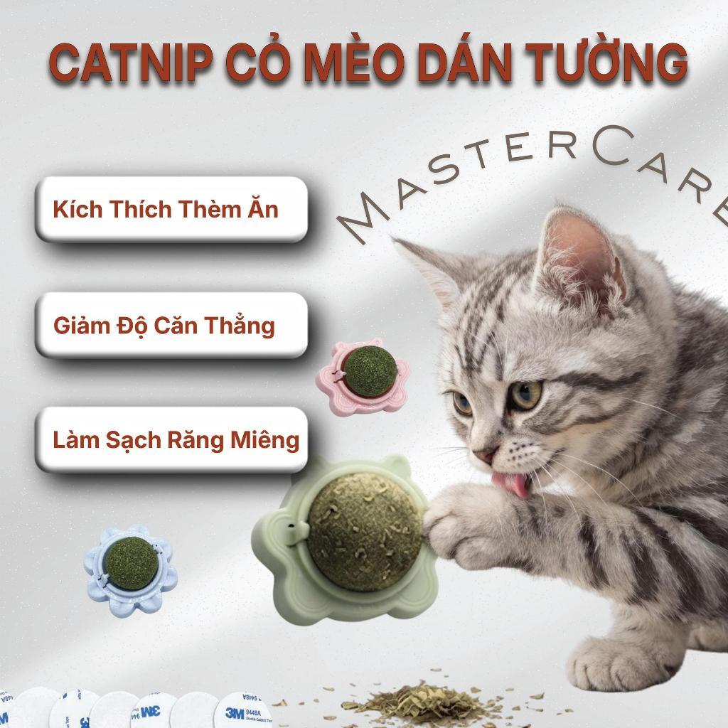 Catnip Dán Tường Viên Cỏ Bạc Hà Dán Tường Cho Mèo Giúp Mèo Thư Giãn Làm Sạch Răng MasterCare