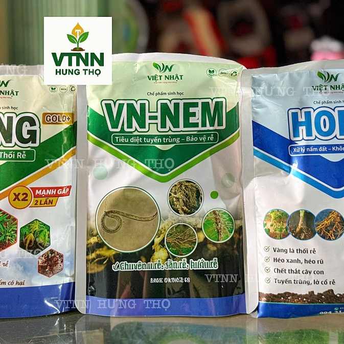 COMBO ZING NEM HOPE (VIỆT NHẬT)