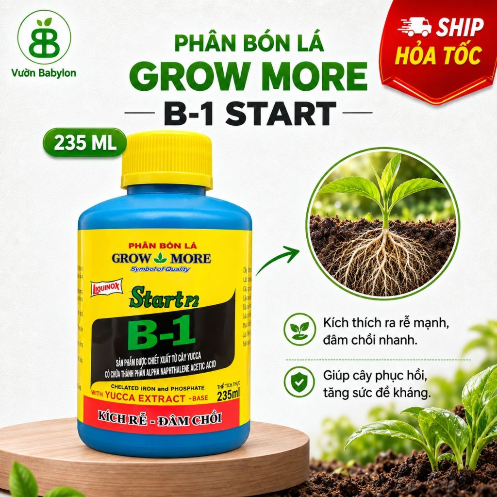 Phân Bón Lá Vitamin B1, Chuyên Dùng Cho Lan, Kích Hoa Hàng Loạt B1 Growmore Vuonbabylon - Chai 235ml
