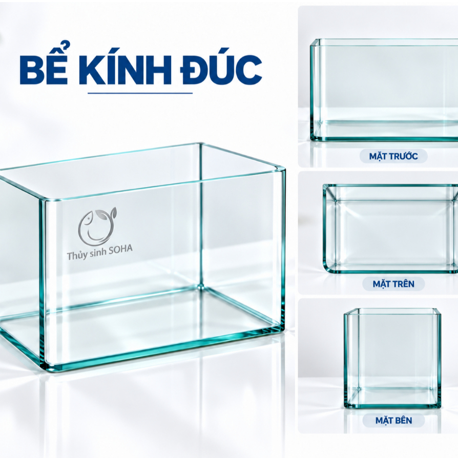 [SHIP TOÀN QUỐC] Bể kính đúc size 18-22-25-30-35-40-45-50cm | Bể cá mini | Hồ thủy sinh