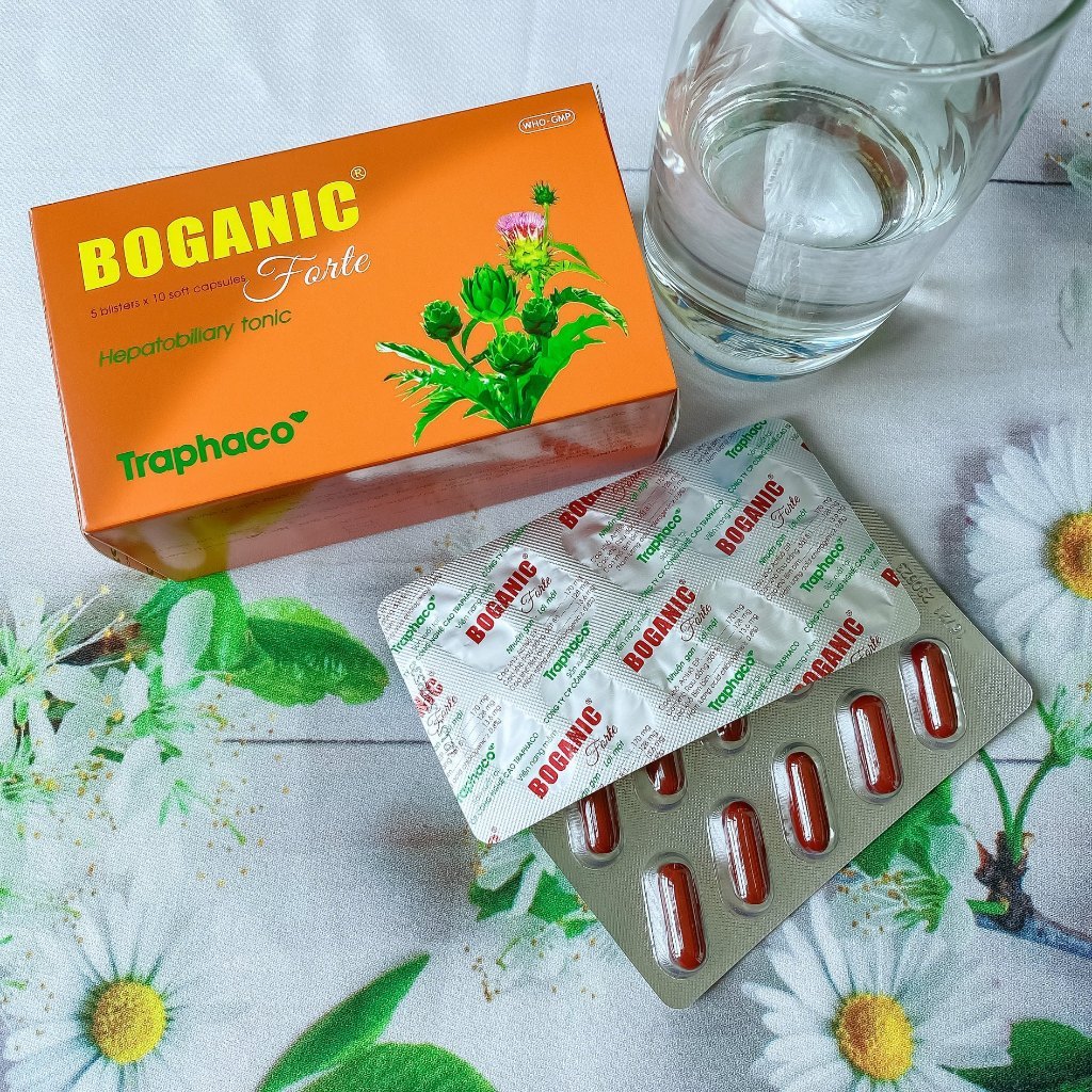(Thanh lý hạn 12/206) Boganic Forte