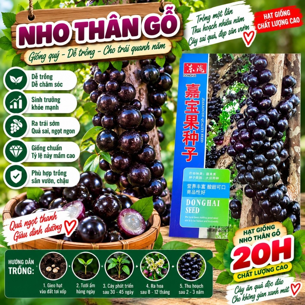 Hạt Giống Nho Thân Gỗ (30H)