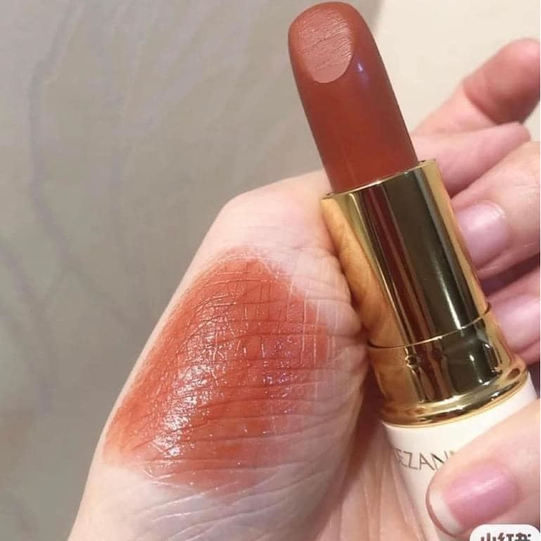 Son Cezanne Lasting Lip Color N 504 – Son thỏi,son lì có dưỡng Nhật Bản