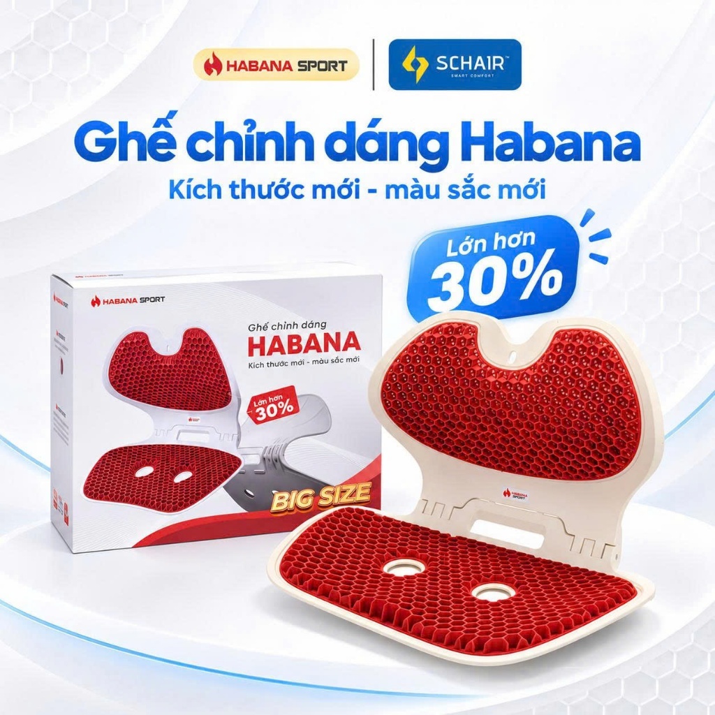 Ghế Công Thái Học Gấp Gọn HABANA SCHAIR, Ghế Tựa Lưng Chỉnh Dáng Gấp Gọn, Ghế Tựa Lưng Bà Bầu, Dân V