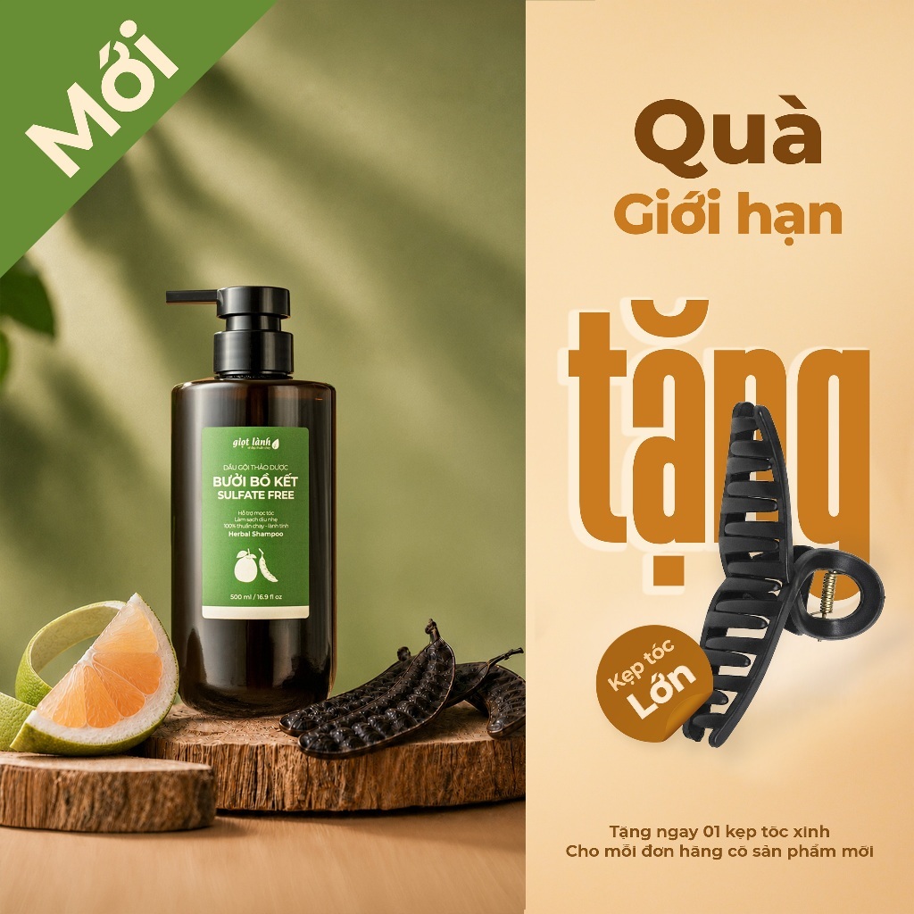 [Mới - Không Sulfate] Dầu gội Bưởi Bồ kết - Sulfate Free, dầu gội thảo dược dịu nhẹ, hỗ trợ mọc tóc Giọt Lành 500ml