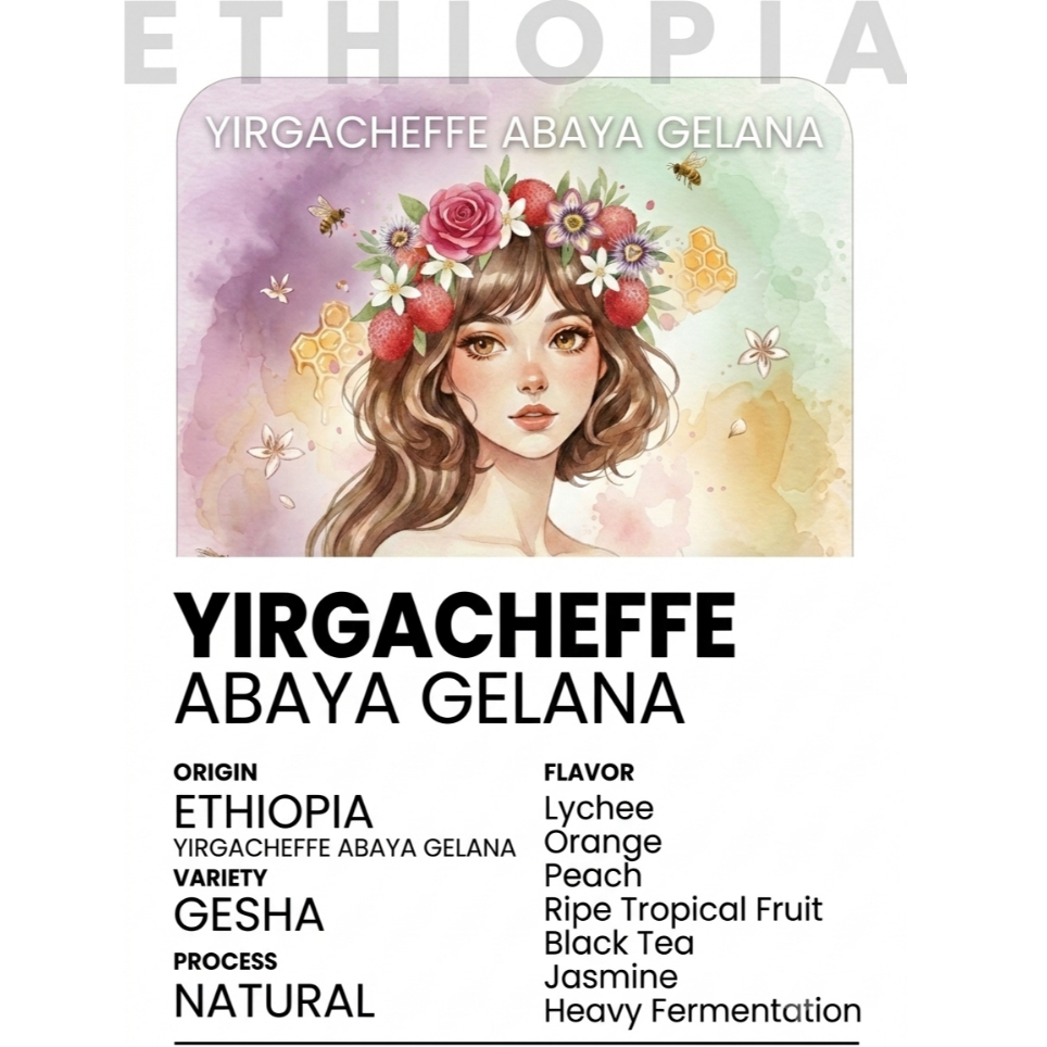 Hạt cafe - Ethiopia Gesha Abaya Genala