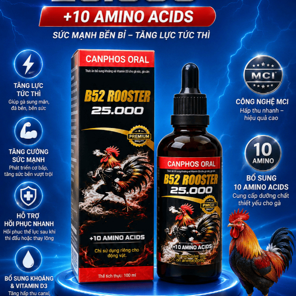 B52 Rooster 25.000mcg | Bổ Sung Vitamin thiết yếu cho gà nhanh lên tay, nở khung nở cơ, tăng nước má