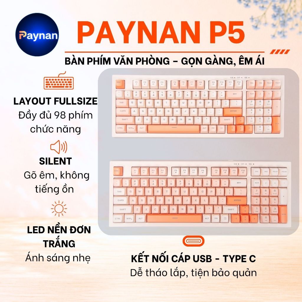 Bàn phím văn phòng P5 Paynan Peachy chống ồn kết nối cáp rời 98 phím đèn led trắng  keycap màu cổ điển