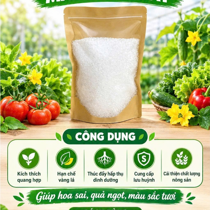 MUỐI EPSOM MAGIE SUNFAT - GÓI 1KG DÙNG TRONG NÔNG NGHIỆP
