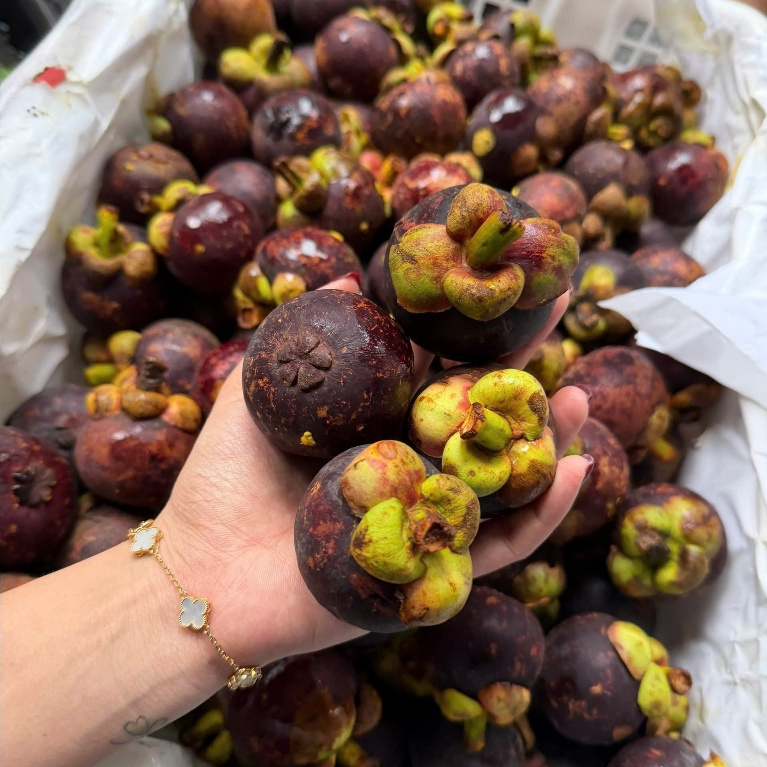 Măng cụt bi Thái Lan - Hộp 2kg