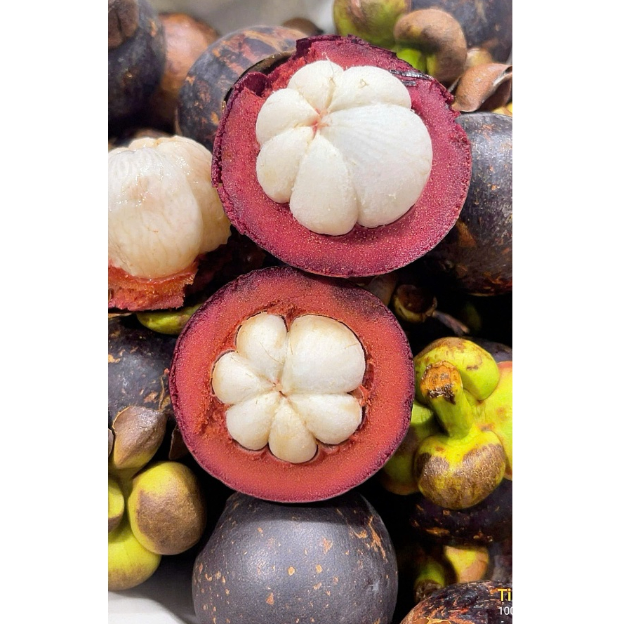 Măng cụt bi Thái Lan - Hộp 2kg [HỎA TỐC]