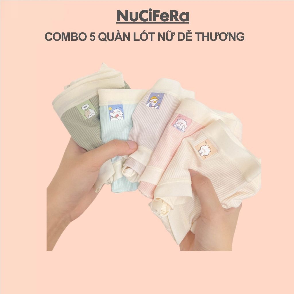 Set 5 quần lót nữ hoạt hình Perry mềm mại co dãn màu đẹp NuciFera