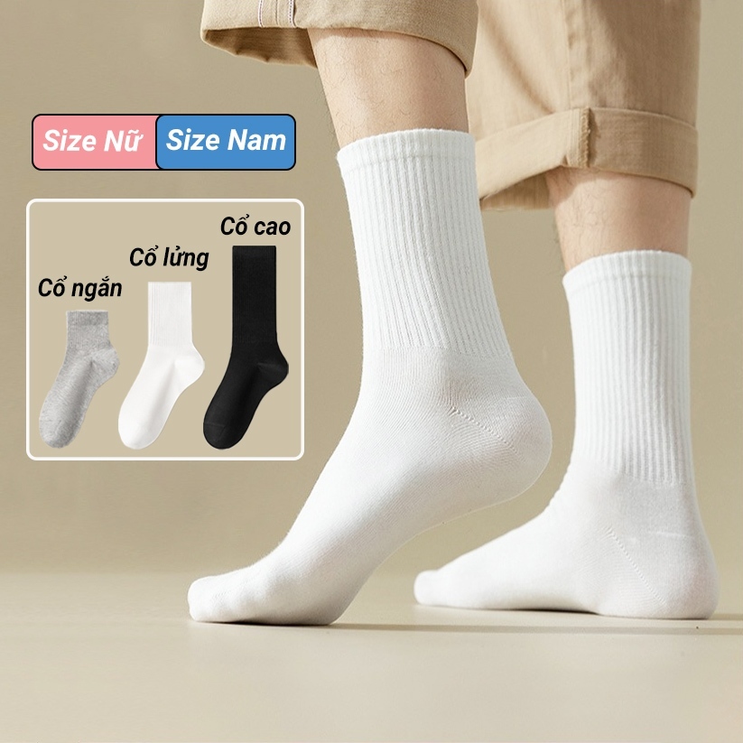 Tất nữ cao cổ gân trơn, vớ unisex cổ ngắn trung dài phù hợp 4 mùa. Chất liệu…
