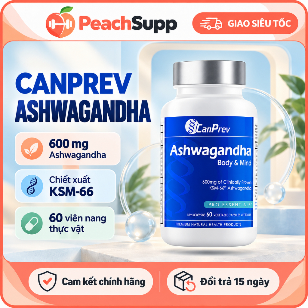 CanPrev Ashwagandha KSM-66 – 60 Capsules – C h i ế t Xuất Ashwagandha