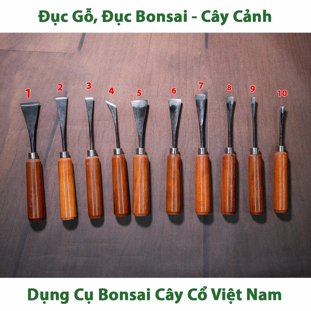 Bộ Đục Cây Cảnh Chuyên Dụng 10 Đục  – Thép Nhíp Cao Cấp