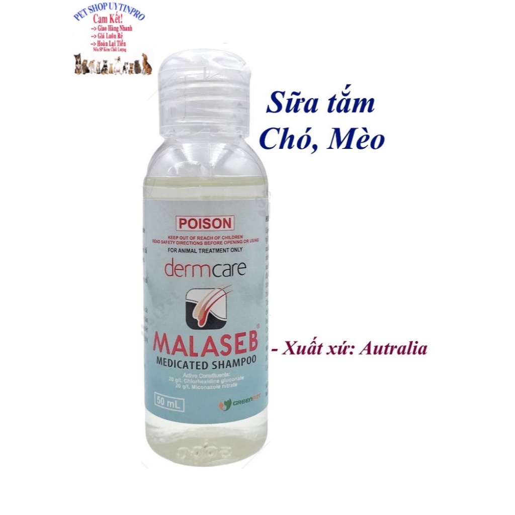 Sữa tắm nấm, ghẻ, viêm da cho Chó Mèo Poison Dermcare Malaseb Xuất xứ Australia - Pet shop uytinpro