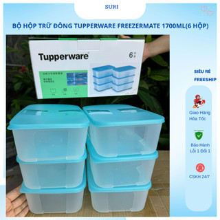  Hộp Nhựa Tupperware Freezermate 1700ML Chính Hãng – Bộ 6 Hộp Trữ Đông Tiện Lợi  CÓ HỘP  