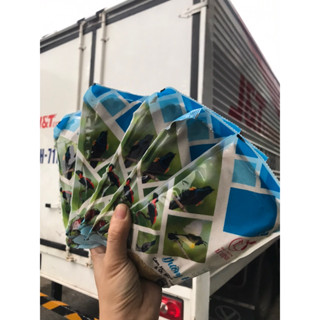  COMBO 5 Bịch Cám Lê Thịnh Dành Cho Hút mật 