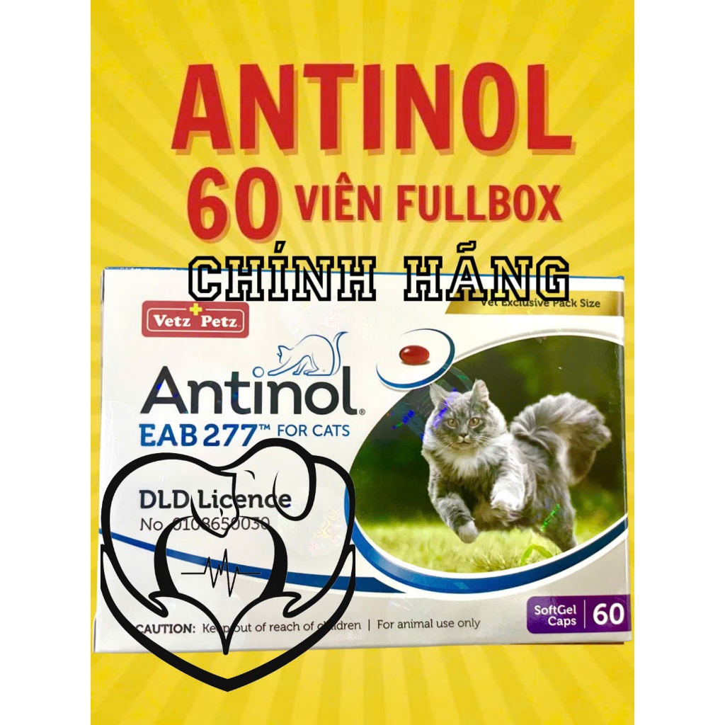 ANTINOL GIÁ SIÊU RẺ SIÊU KÍCH MỌC LÔNG, DƯỠNG LÔNG VÀ BỔ KHỚP CHO MÈO