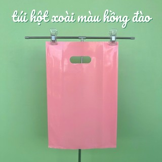 1KÝ TÚI HỘT XOÀI