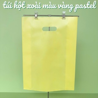 1KÝ TÚI HỘT XOÀI