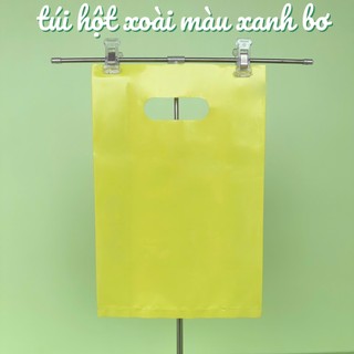1KÝ TÚI HỘT XOÀI