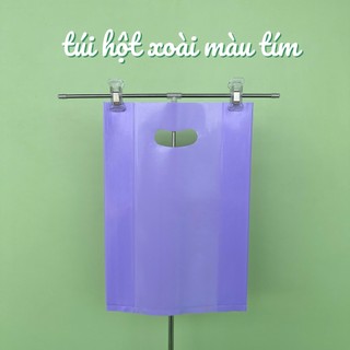 1KÝ TÚI HỘT XOÀI