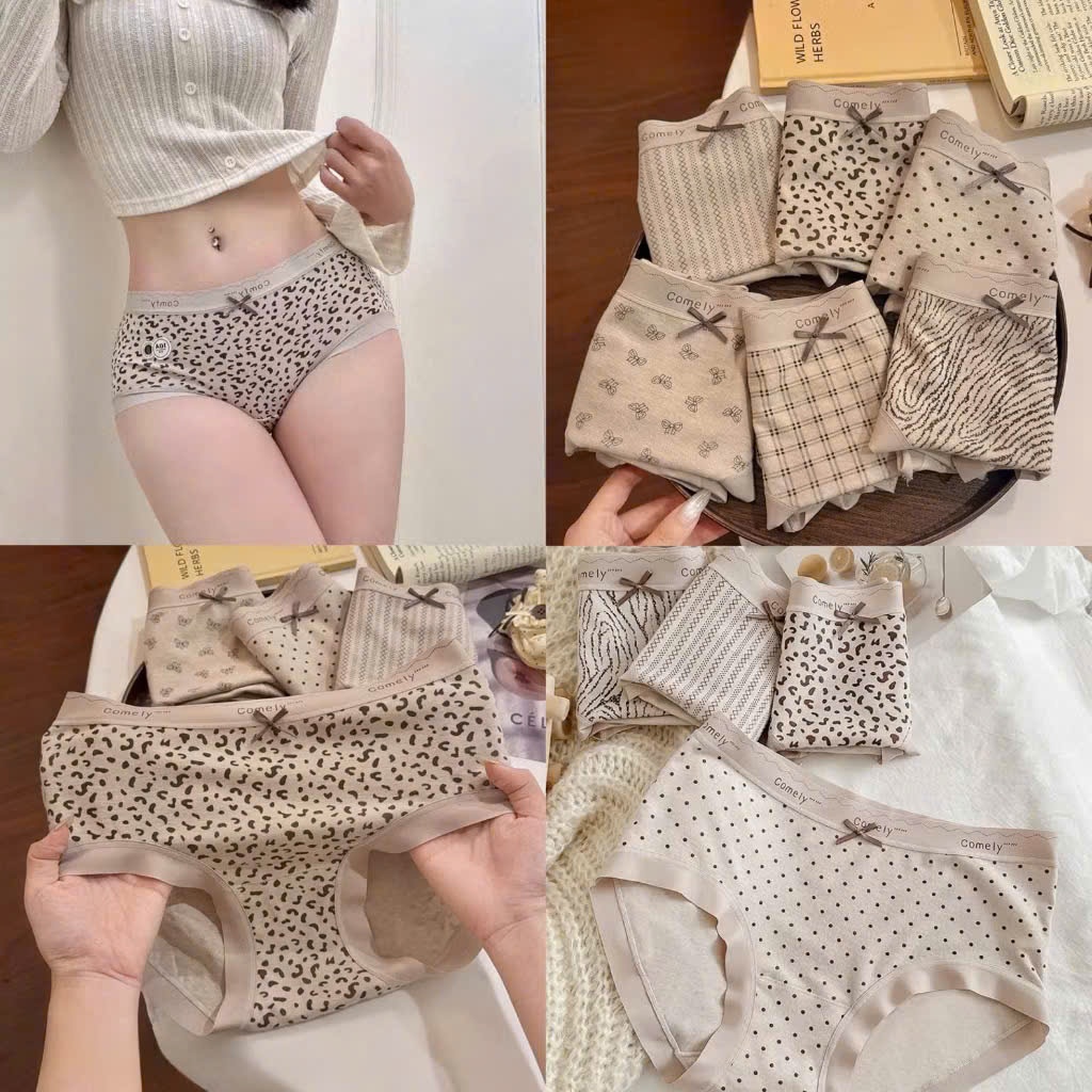 Quần Lót Nữ Cotton Hàn Kháng Khuẩn Tông Màu Vintage Co Giãn Viền Su Mềm Mịn Sandy 262
