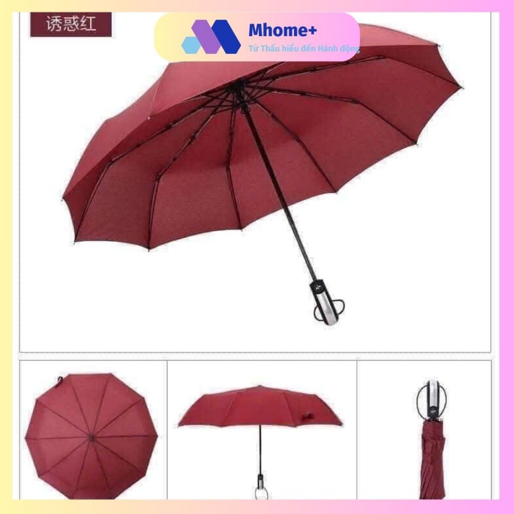 Mhome+Ô TỰ ĐỘNG ĐÓNG MỞ 10 NAN